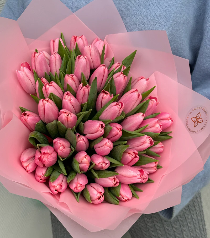 FullSizeRender_920e88b3-94ef-4d49-a53c-3032b2e78715_800x FullSizeRender_920e88b3-94ef-4d49-a53c-3032b2e78715_800x